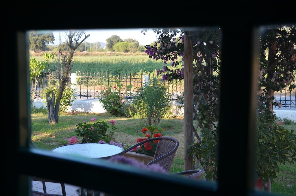 מלון קלוגריה Rena'S House חדר תמונה